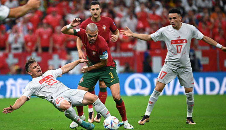 “黑熊”谜语答案是什么？揭秘对应的动物生肖解析