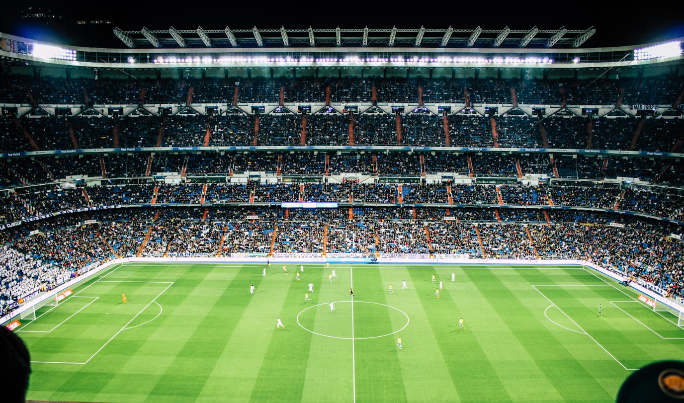 《“海阔天空”暗示的生肖动物是什么？详细解析》